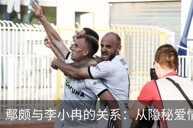 鄢颇与李小冉的关系：从隐秘爱情到未婚生育的探讨